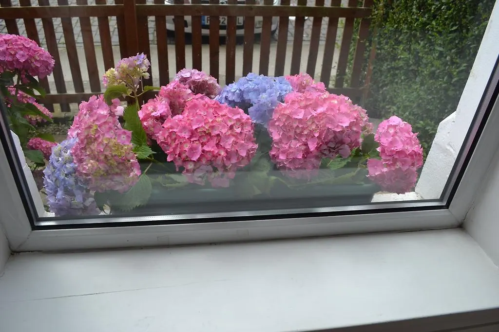 Pitt Street Apartment Beautiful Spacious Apartment Free Parking And Free Sanitizer Edinburgh